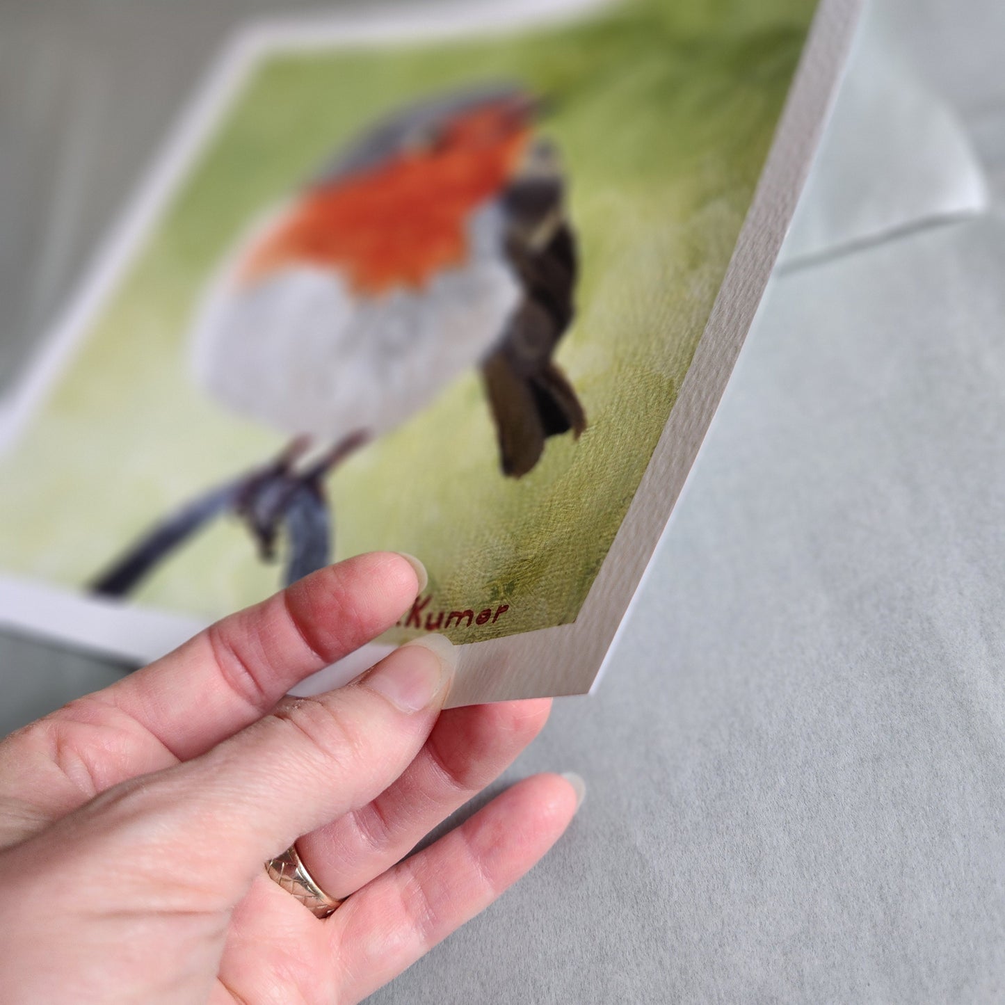 Common Redstart Art Print