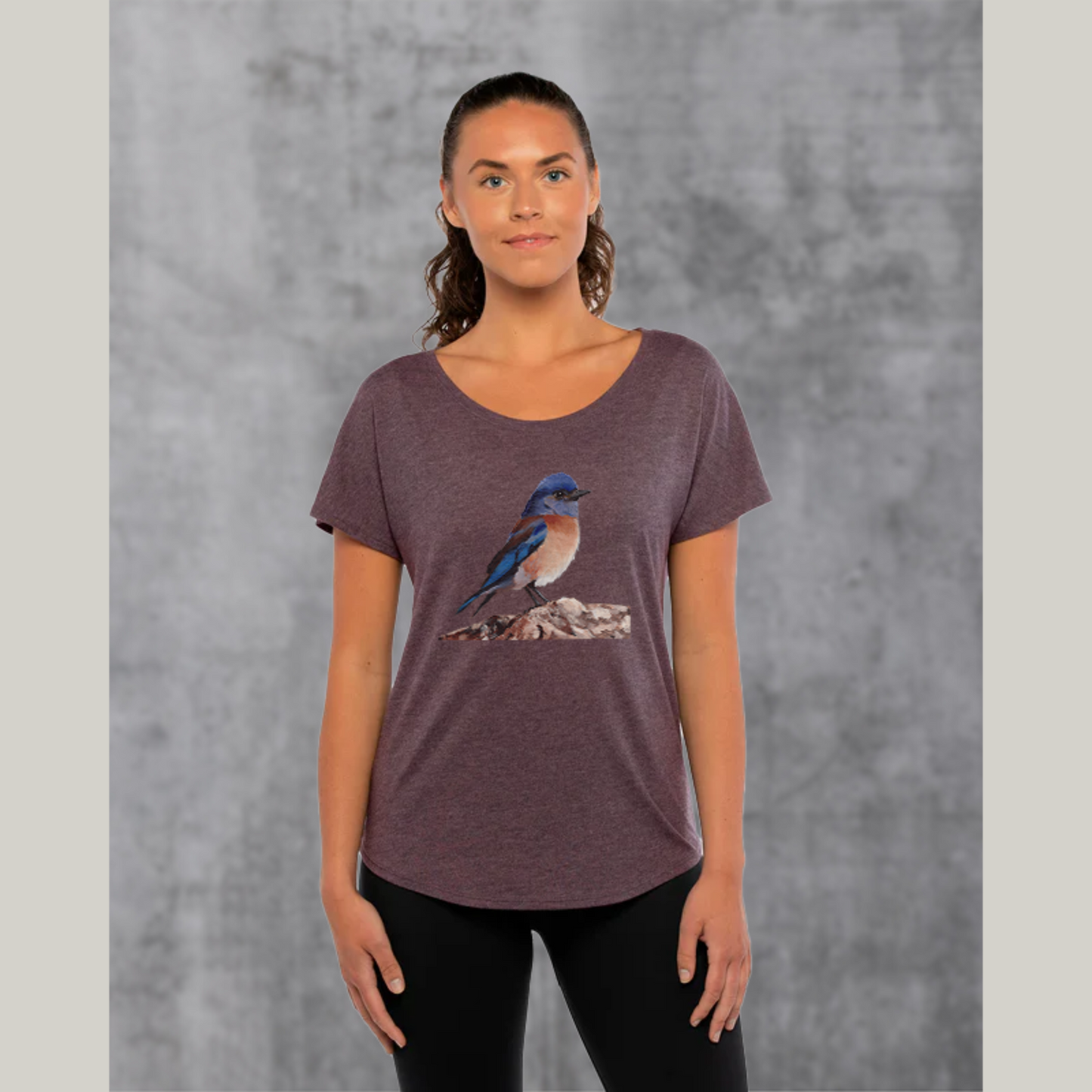 Eastern Bluebird Women's Dolman Top / Bird Shirt for Ladies / Artwork T-shirt Gift for Nature Lover