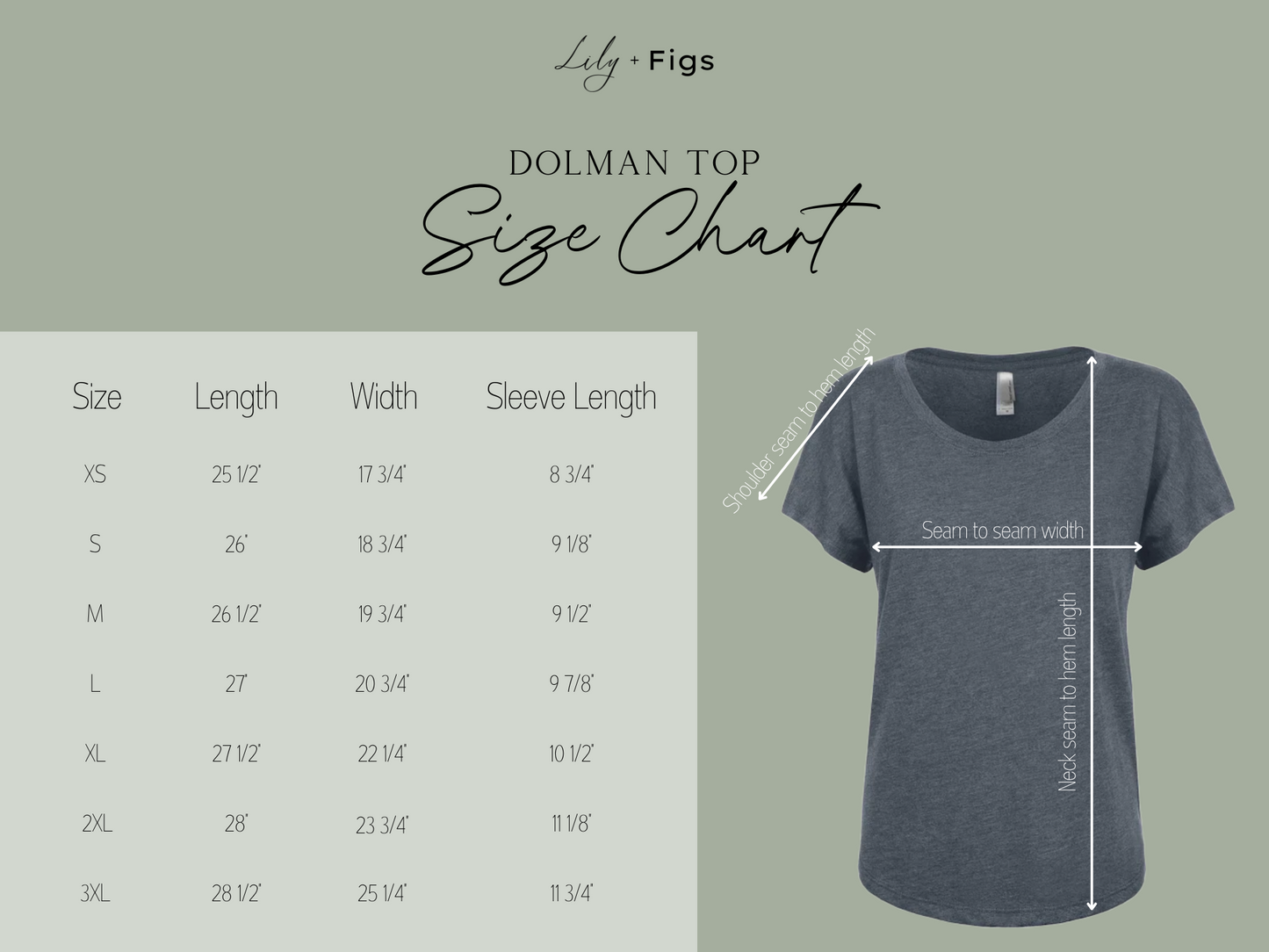 Robin Bird Dolman Top for Ladies /Women's European Robin Bird Shirt / Artwork T-shirt Gift for Mom
