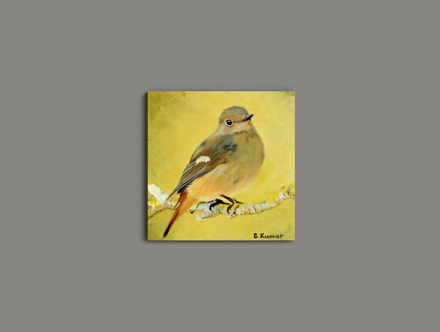 Common Redstart Original Painting