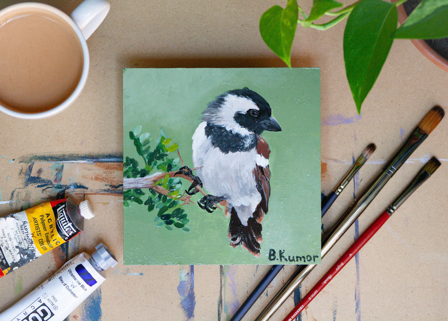 Cape Sparrow Original Painting