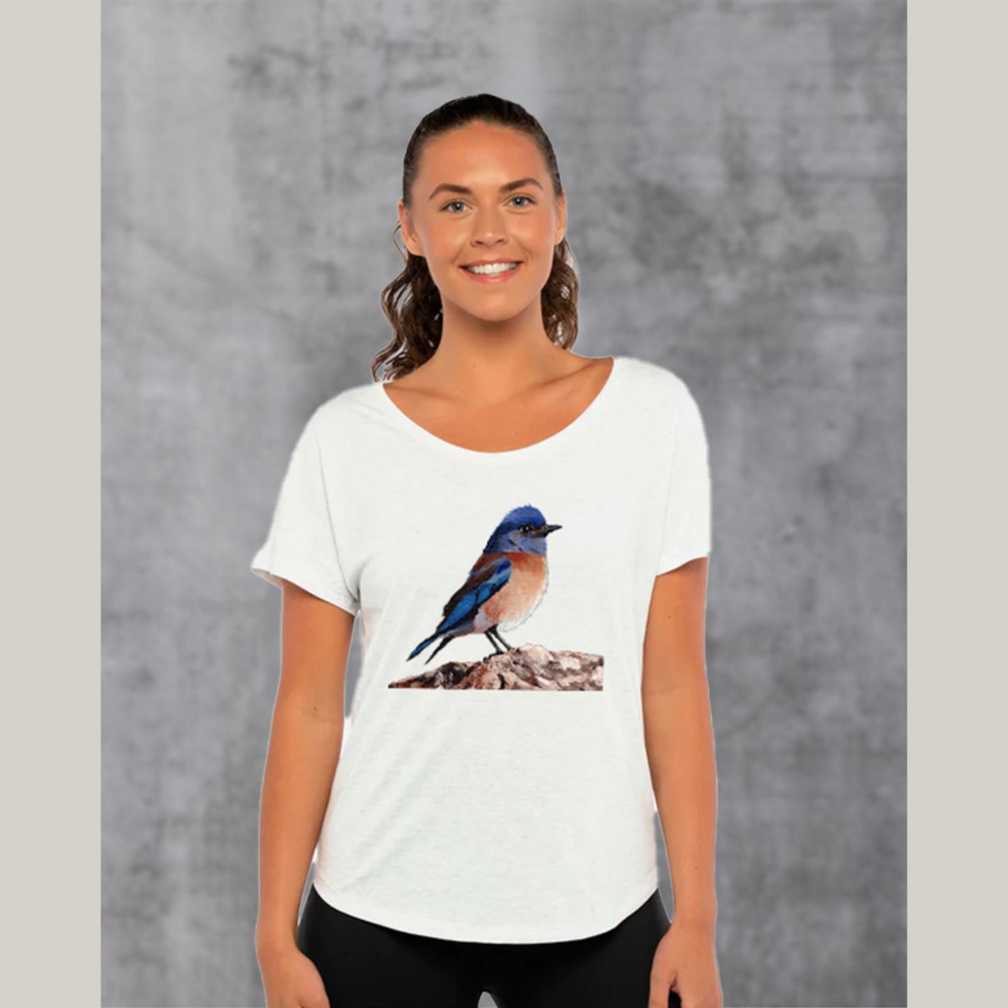 Eastern Bluebird Women's Dolman Top / Bird Shirt for Ladies / Artwork T-shirt Gift for Nature Lover