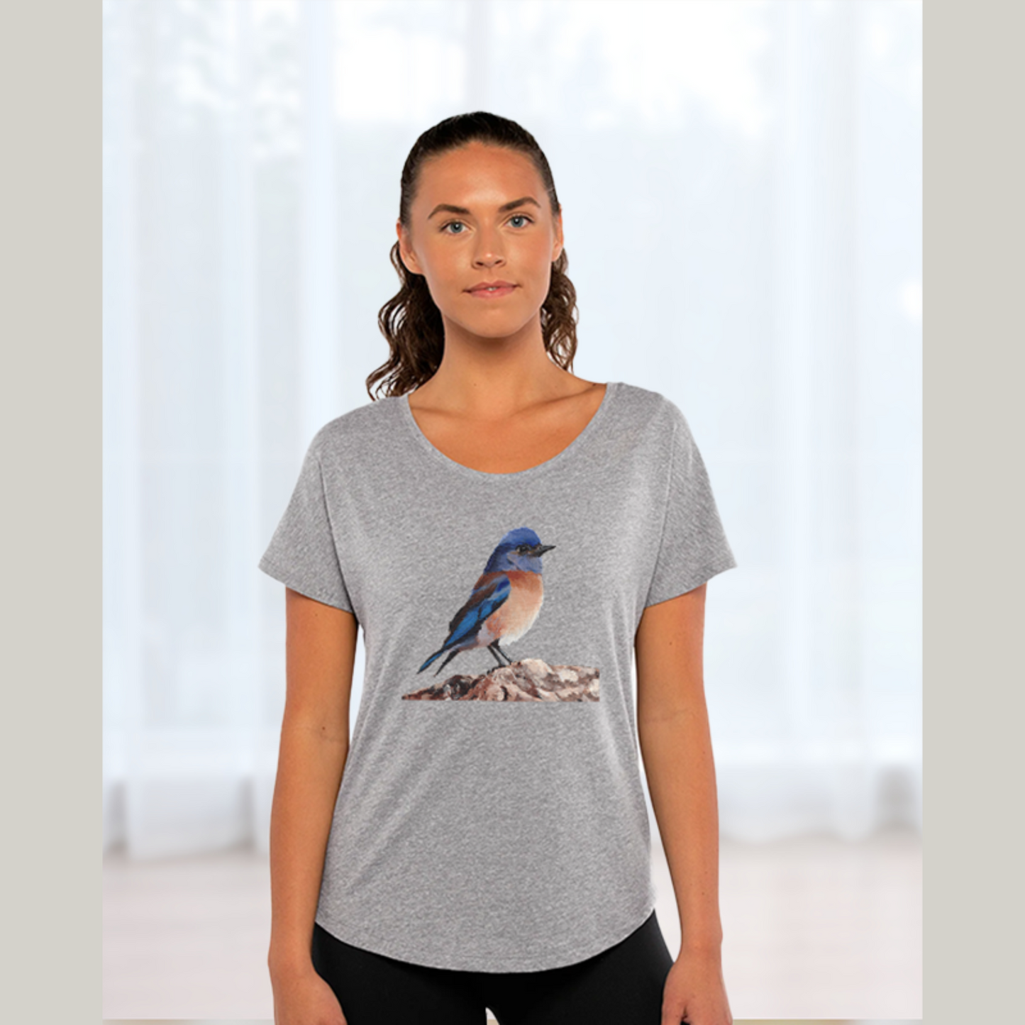 Eastern Bluebird Women's Dolman Top / Bird Shirt for Ladies / Artwork T-shirt Gift for Nature Lover