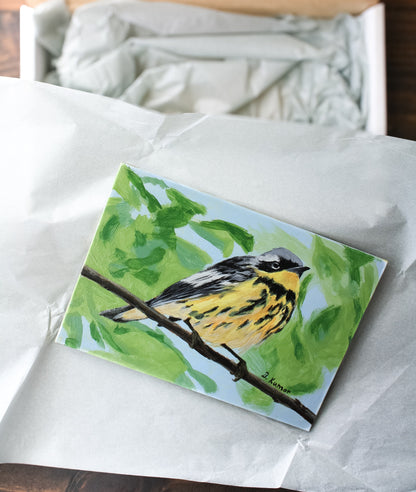 Warbler Bird Original Painting