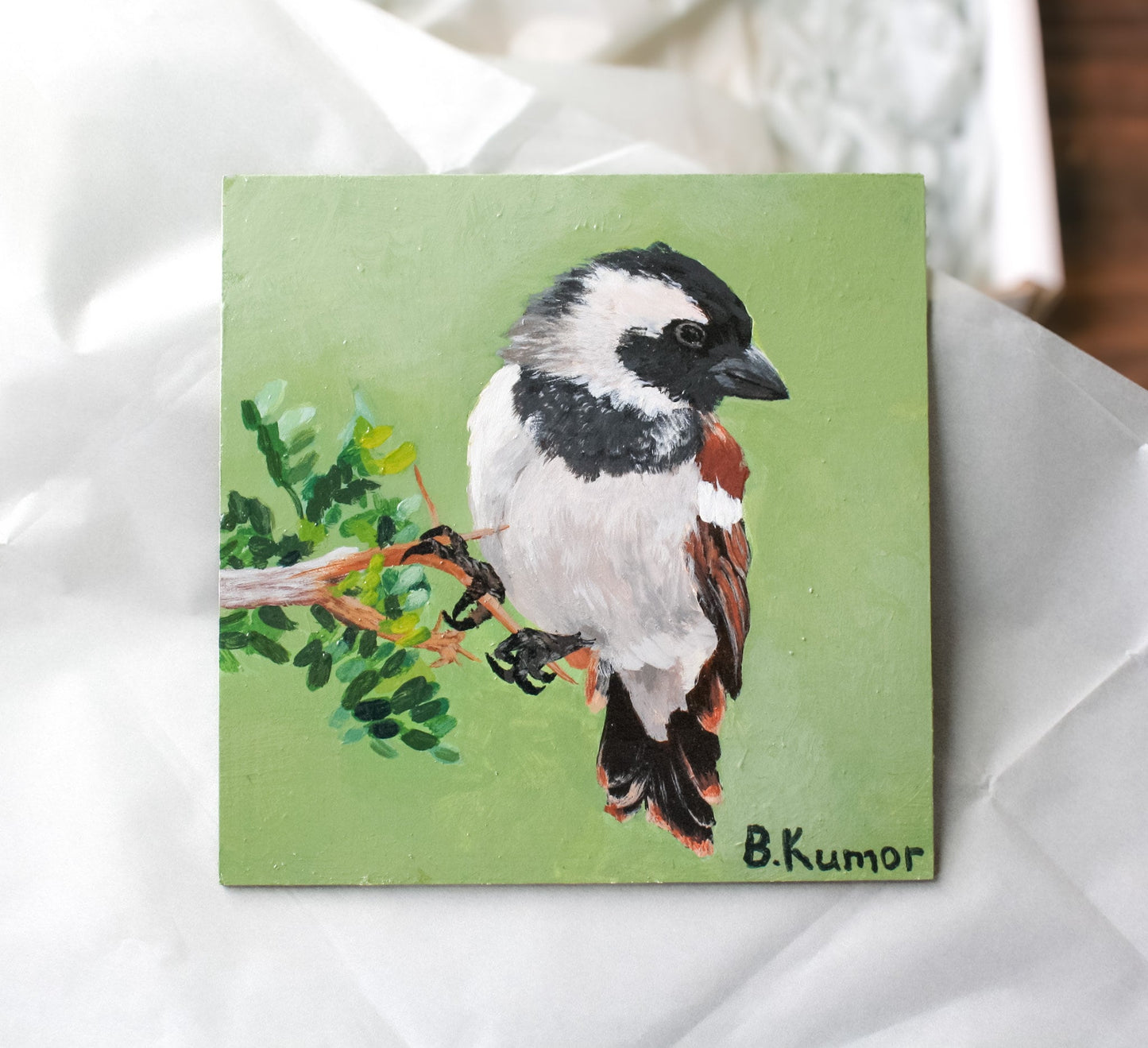 Cape Sparrow Original Painting