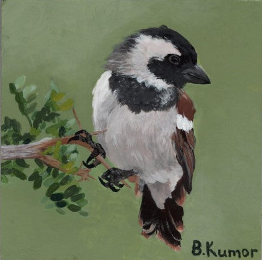 Cape Sparrow Original Painting