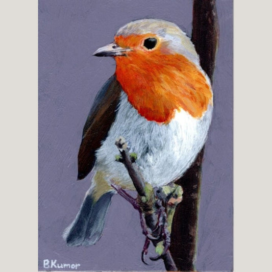 European Robin Original Painting