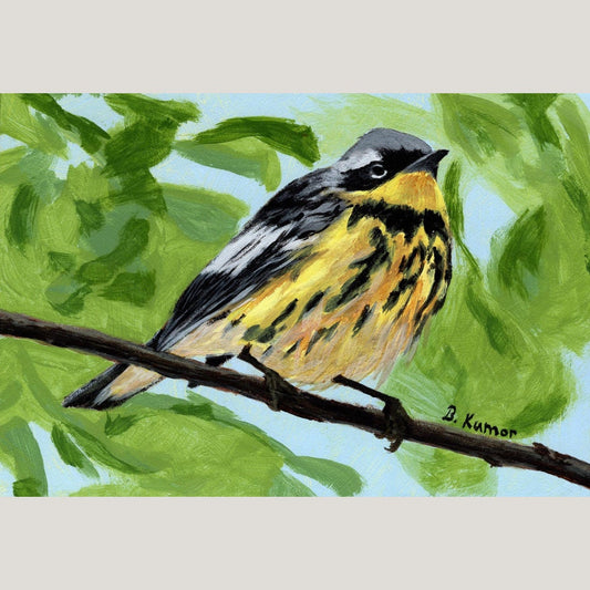 Warbler Bird Original Painting