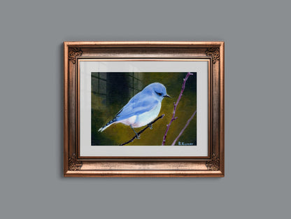 Art Print of Mountain Bluebird Painting