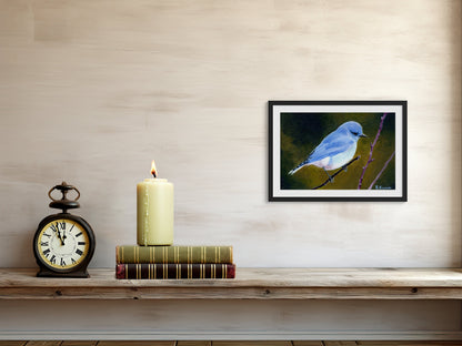 Art Print of Mountain Bluebird Painting