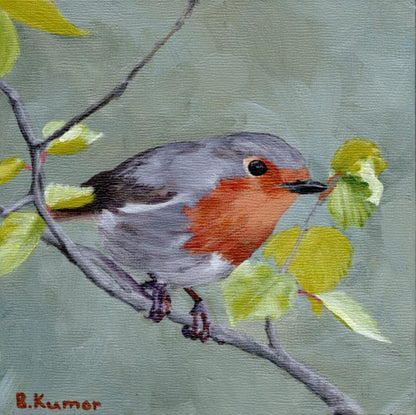 European Robin 2 Original Painting