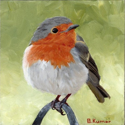 Original European Robin Painting