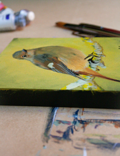 Common Redstart Original Painting