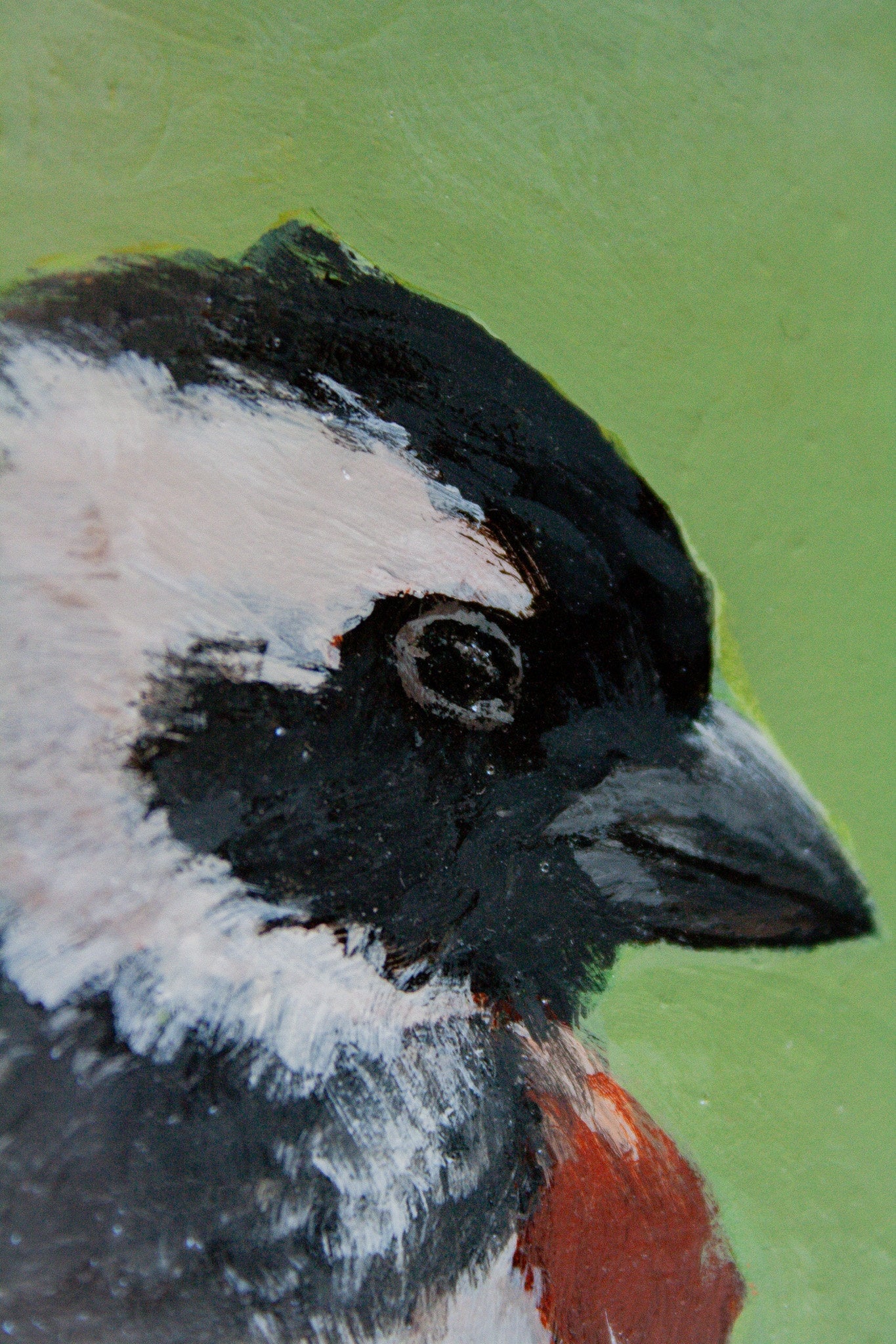 Cape Sparrow Original Painting