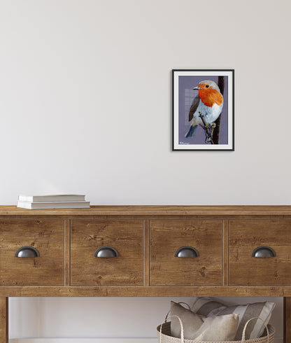 Art Print of European Robin Painting