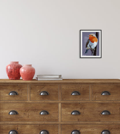 Art Print of European Robin Painting