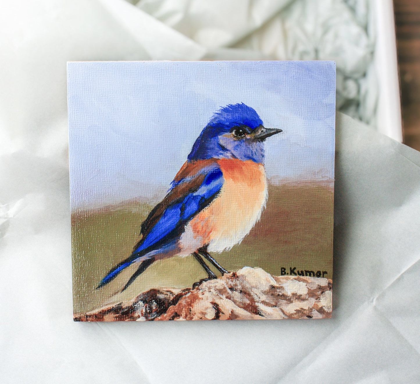 Eastern Bluebird Original Painting