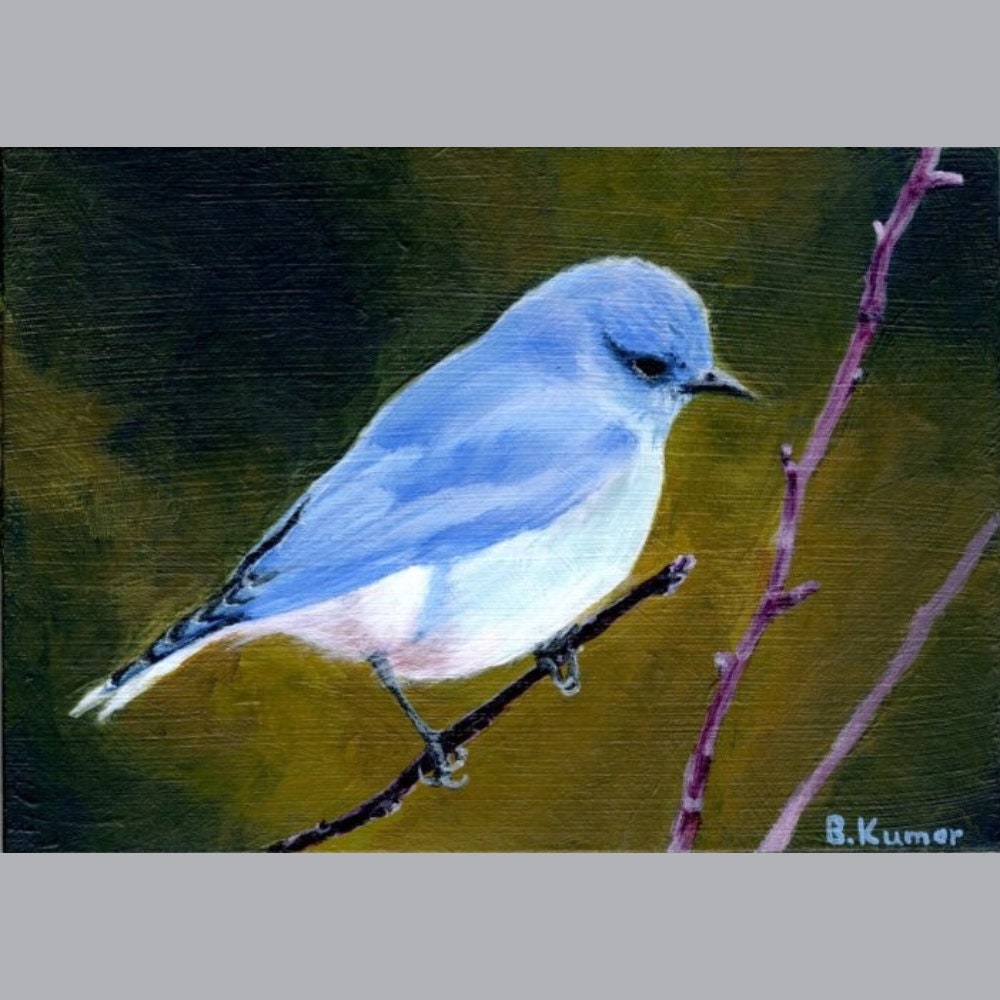 Mountain Bluebird Original Painting