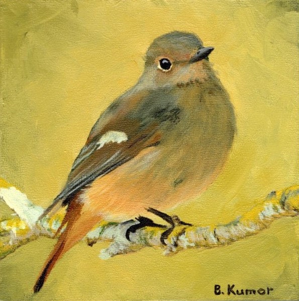 Common Redstart Original Painting