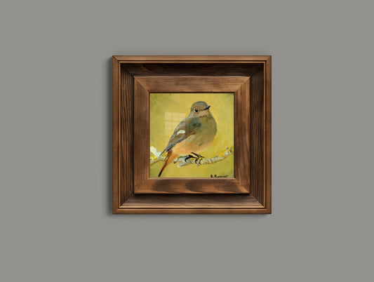 Common Redstart Art Print