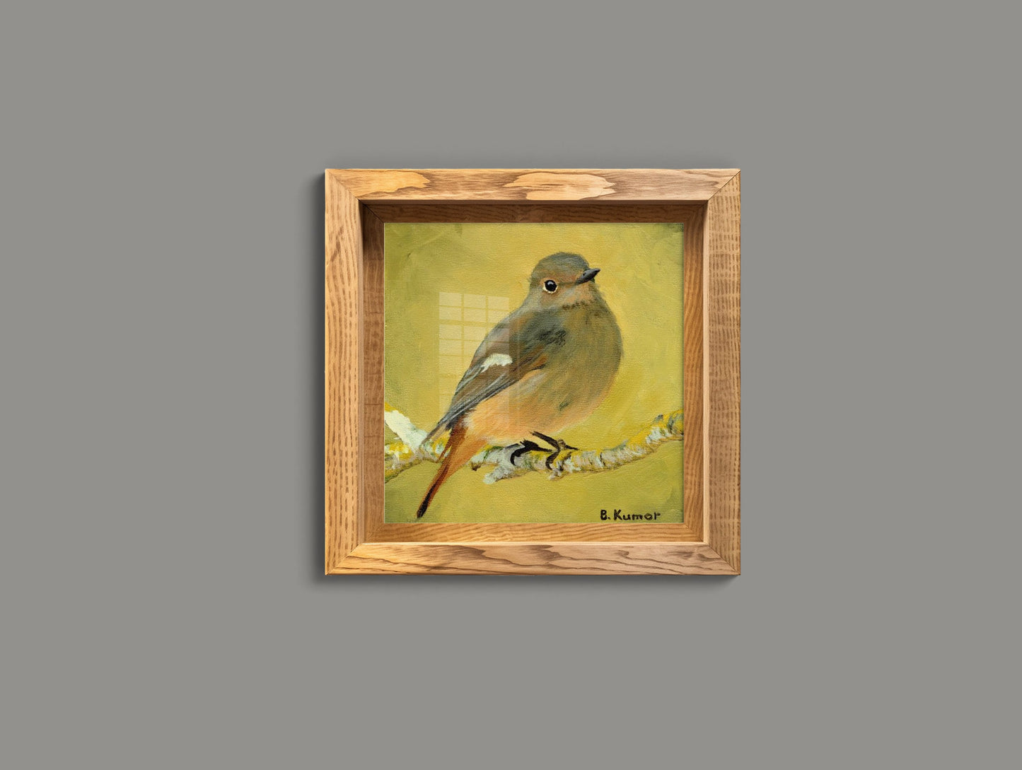 Common Redstart Art Print