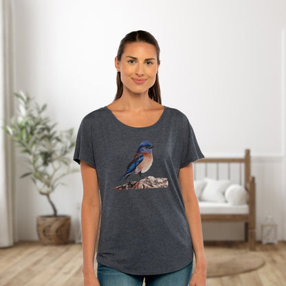 Eastern Bluebird Women's Dolman Top / Bird Shirt for Ladies / Artwork T-shirt Gift for Nature Lover