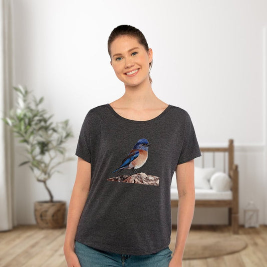 Eastern Bluebird Women's Dolman Top / Bird Shirt for Ladies / Artwork T-shirt Gift for Nature Lover