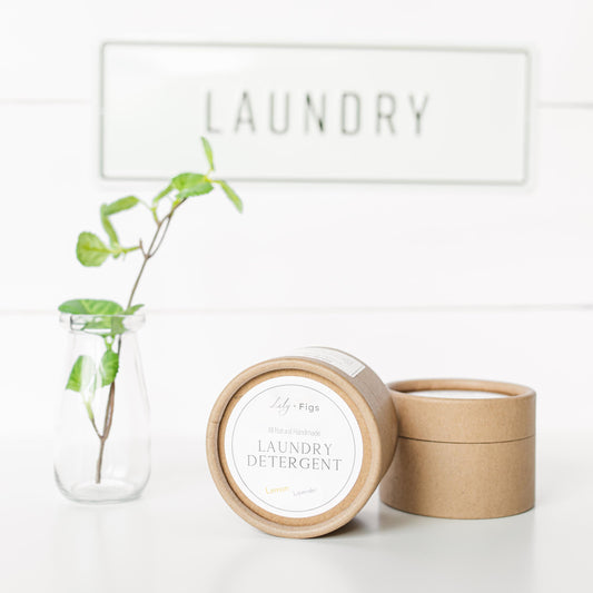 Sample Sized Eco Friendly Laundry Detergent Powder with Essential Oils / Fall Laundry Pumpkin Spice Detergent / Autumn Laundry Soap